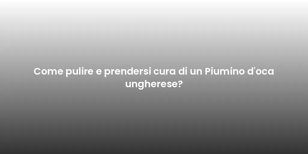 Come pulire e prendersi cura di un Piumino d'oca ungherese?