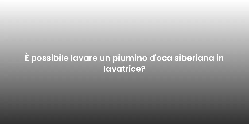È possibile lavare un piumino d'oca siberiana in lavatrice?