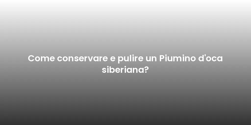 Come conservare e pulire un Piumino d'oca siberiana?