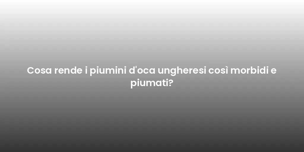 Cosa rende i piumini d'oca ungheresi così morbidi e piumati?