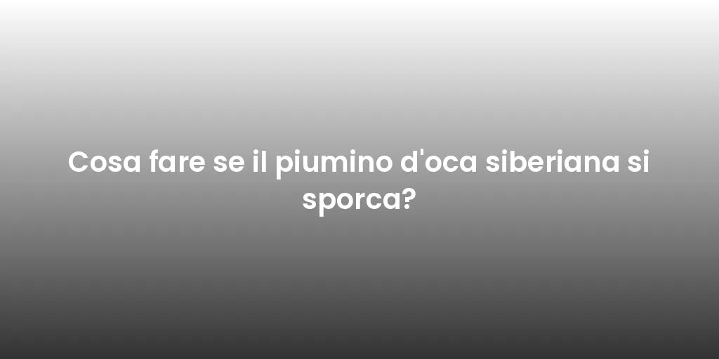 Cosa fare se il piumino d'oca siberiana si sporca?