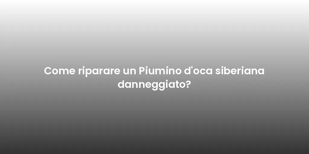Come riparare un Piumino d'oca siberiana danneggiato?