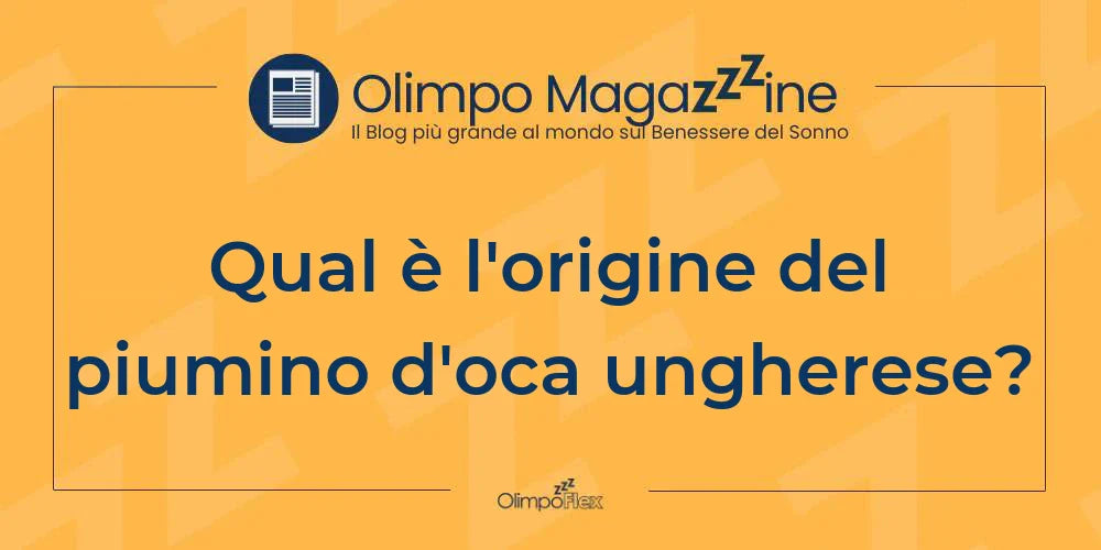 Qual è l'origine del piumino d'oca ungherese?