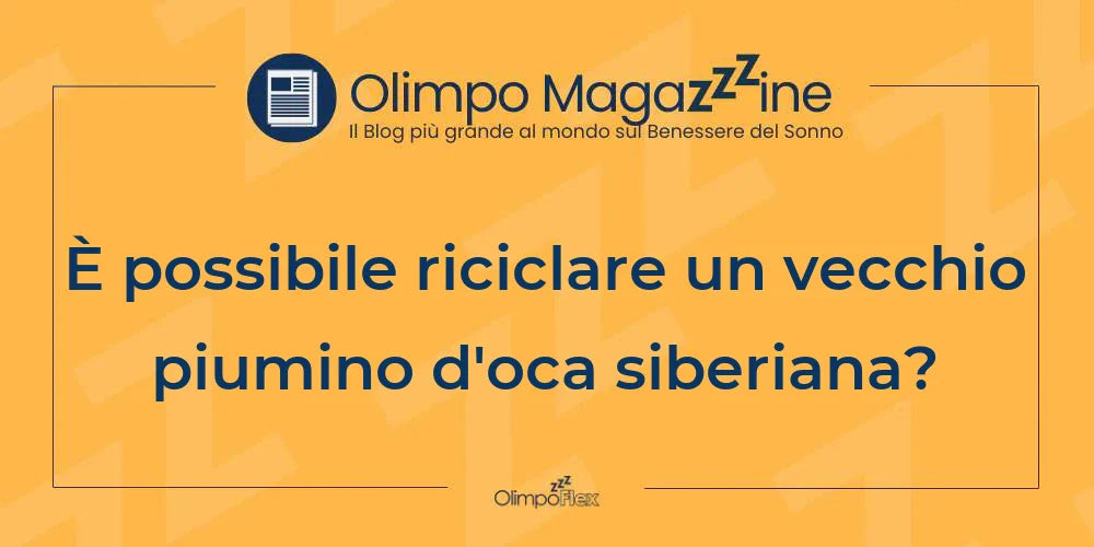 È possibile riciclare un vecchio piumino d'oca siberiana?