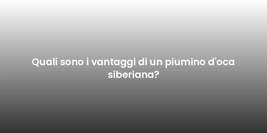 Quali sono i vantaggi di un piumino d'oca siberiana?