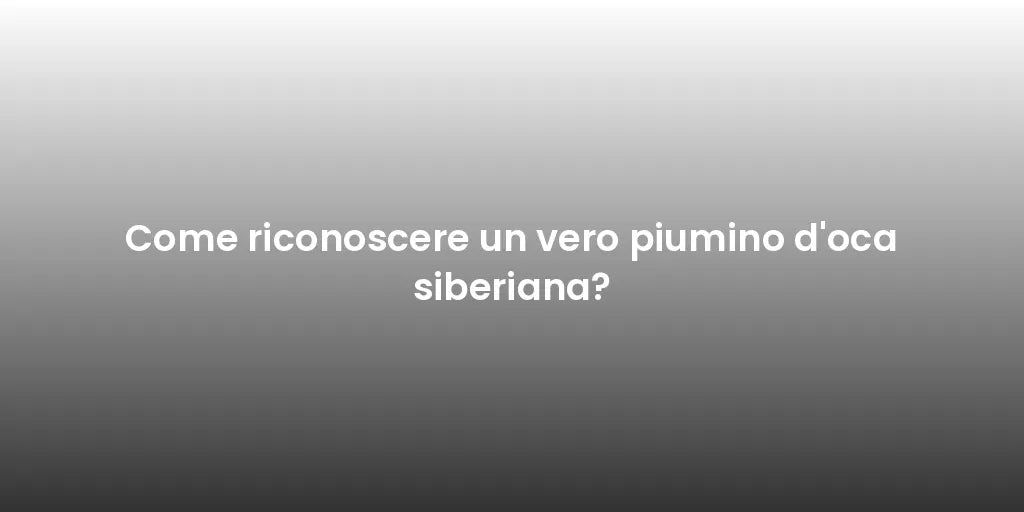 Come riconoscere un vero piumino d'oca siberiana?