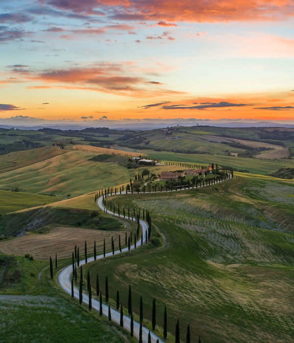 Paesaggio collinare con strada serpeggiante e cipressi al tramonto.