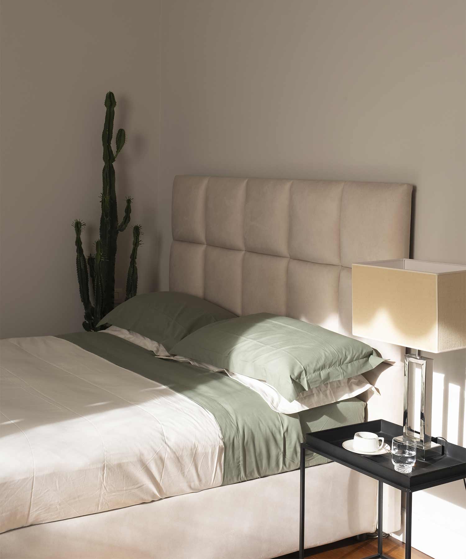 Camera da letto con letto, cactus e lampada sul comodino.