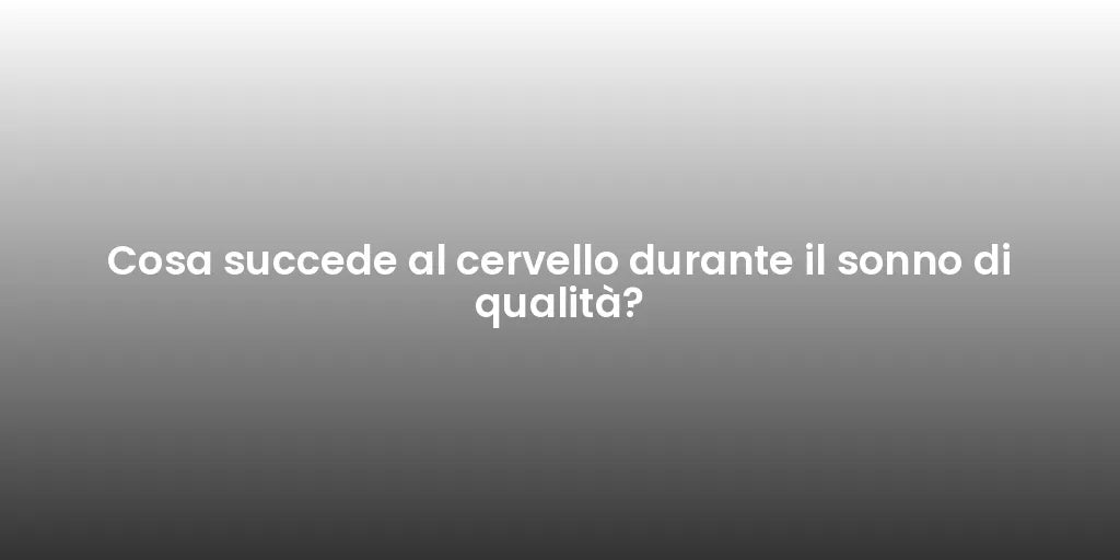 Cosa succede al cervello durante il sonno di qualità?