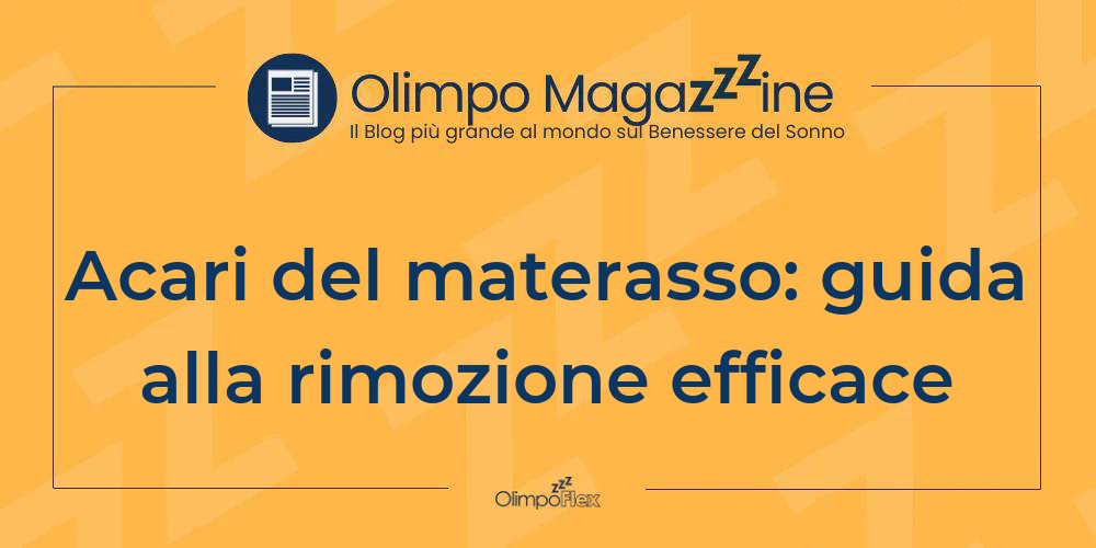 Acari del materasso: guida alla rimozione efficace