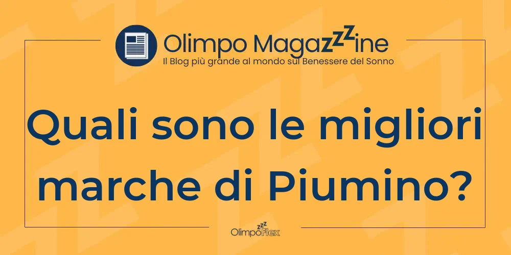 Quali sono le migliori marche di Piumino?