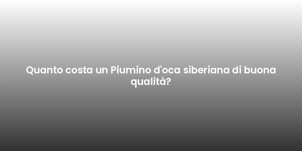 Quanto costa un Piumino d'oca siberiana di buona qualità?
